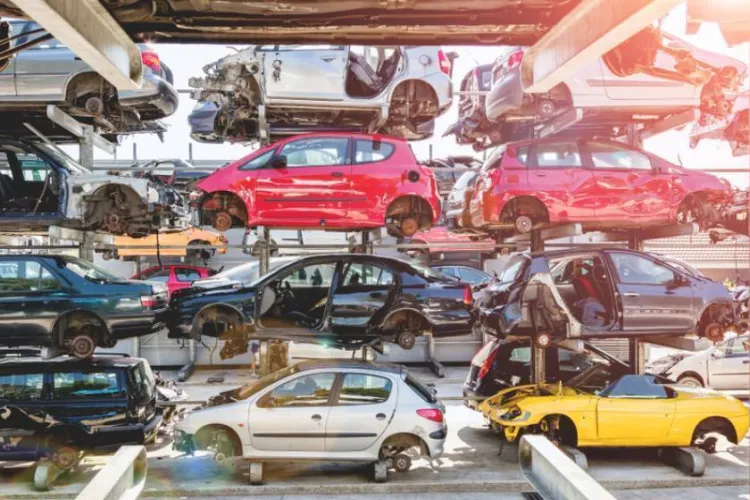 Rabla pentru persoane fizice, salvat în ultimul moment! Diana Buzoianu promite lansarea sigură în 2025