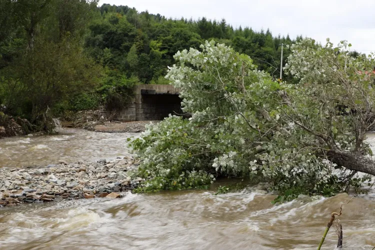 ALERTĂ HIDRO: Viituri pe râurile din Cluj! Cod galben emis de INHGA. Există posibilitatea ca apele să depăească cotele de apărare!