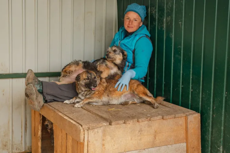 Reacție fermă din partea Sirius Animal Rescue, după comunicatul IPJ Cluj: „Ne dedicăm total protejării animalelor și vrem soluții reale!”