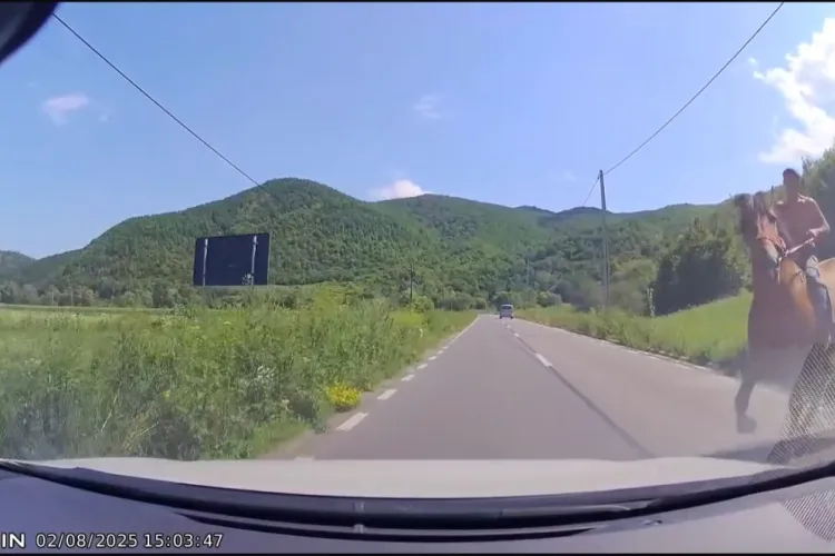 Incident grav pe un drum de țară din Cluj: Un șofer s-a trezit cu un „călăreț” pe banda lui, iar calul a scăpat cu totul de sub control VIDEO
