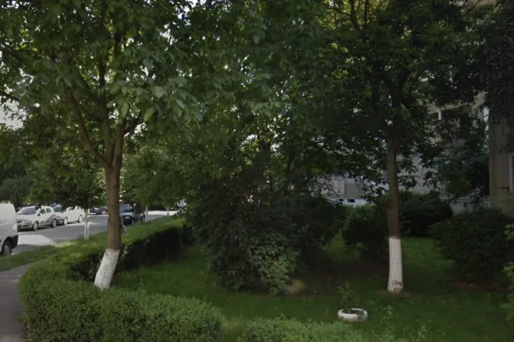 Un clujean a legat o banchetă de copac și face chefuri noaptea pe spațiul verde! Locatarii a două blocuri din Mărăști nu mai suportă gălăgia