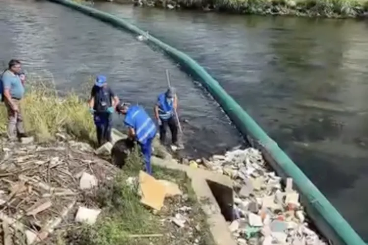 Dezastru ecologic în Cluj-Napoca! Tone de gunoaie sufocă Someșul. Tarcea: „Nu e suficient să curățăm, trebuie să schimbăm mentalități” VIDEO
