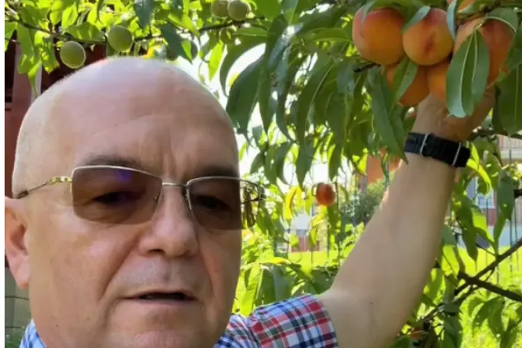 Boc, agricultor în timpul liber! Primarul Clujului a cules primele piersici din producția proprie: „No, așa DA!” VIDEO