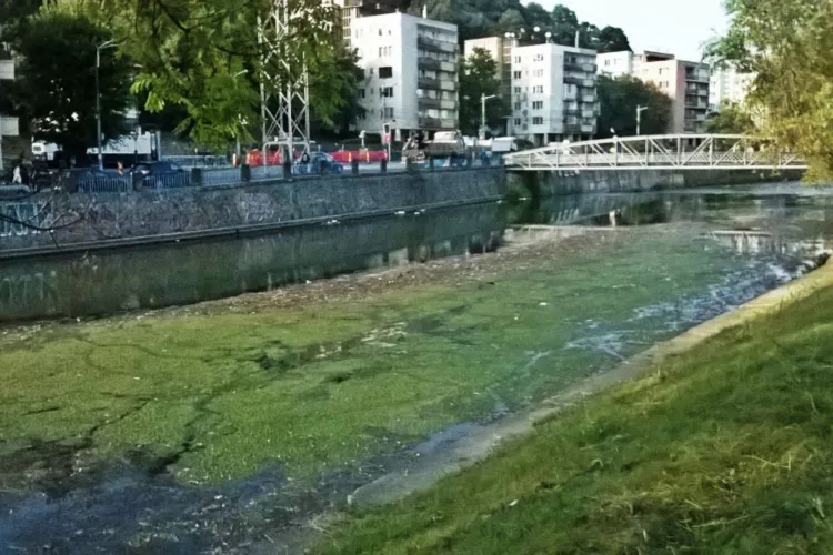 Oamenii fac valuri bune pe Someș: Clujenii sunt invitați să adopte un kilometru de râu și să devină gardienii Someșului