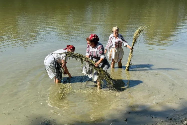 VIDEO|FOTO Satul de pe Someș unde cânepa prinde viață din nou: Sătenii recreează tradiția străveche a îmbrăcămintei și obiectelor din pânză