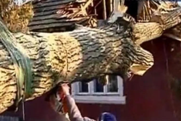 Vremea rea face deja primele pagube în Cluj: Un copac a fost doborât de vânt și a căzut peste acoperișul unei case