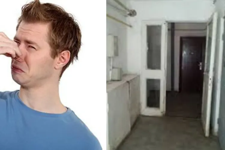 Miros insuportabil într-o scară a unui bloc din Cluj-Napoca! Locatarii cer intervenția urgentă a autorităților. Care este sursa mirosului