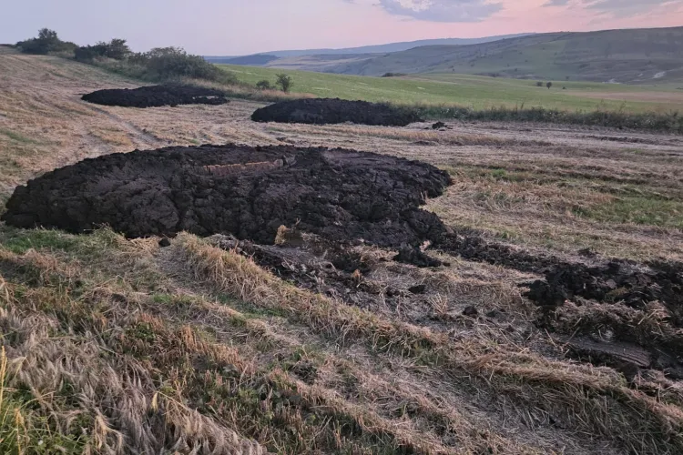 Clujenii din Apahida disperați de un miros insuportabil de bălegar abandonat în câmp: „Nu poți sta cu geamurile deschise. Ce le-o fi dat la vacile ălea”