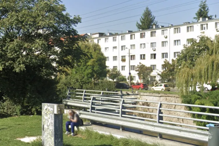 Vandalism pe un pod din Cluj-Napoca! Ghivece cu flori, aruncate în Someș lângă podul Traian! Autorii rămân necunoscuți, florile pot fi salvate