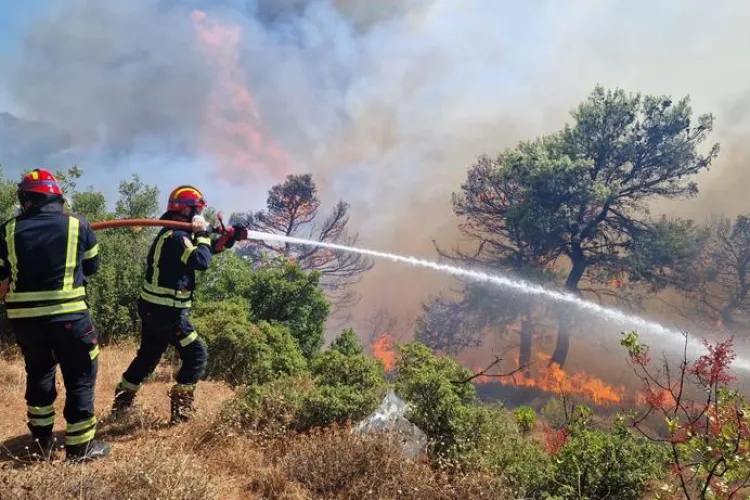 Obosiți, dar victorioși! Imaginea cu POMPIERII ROMÂNI adormiți pe marginea drumului a emoționat o lume întreagă FOTO 