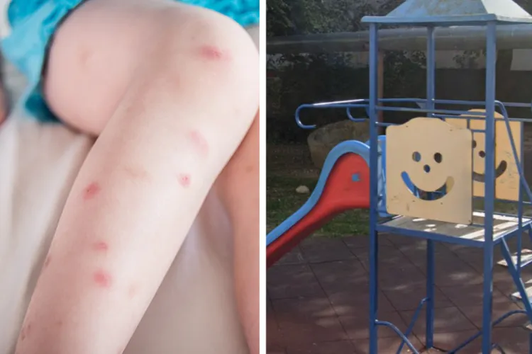 Un parc de copii din Mărăști sub asediul țânțarilor! Clujenii cer autorităților dezinsecție suplimentară în zona Parcului de copii de la Răsăritului