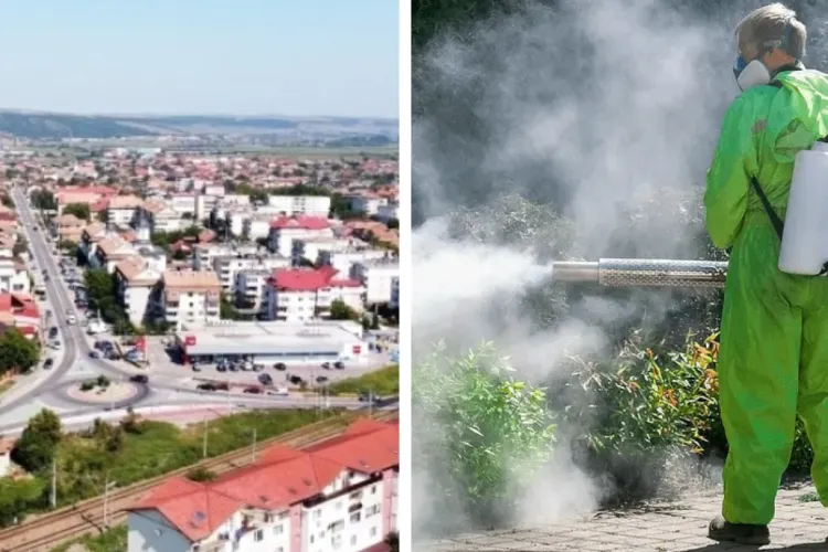 Solfac Trio intră în acțiune la Apahida! Două nopți de dezinsecție. Lista completă a satelor vizate