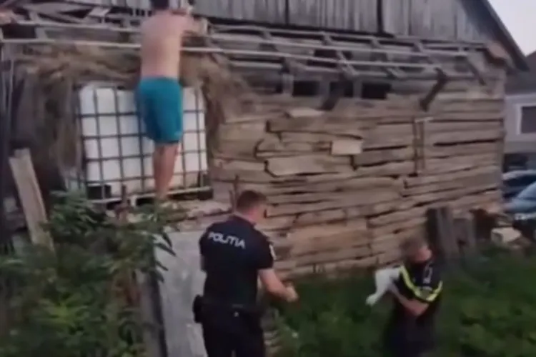 Două berze salvate în Cluj, după ce cuibul lor s-a prăbușit. Polițiștii și voluntarii au intervenit rapid pentru a le asigura supraviețuirea VIDEO