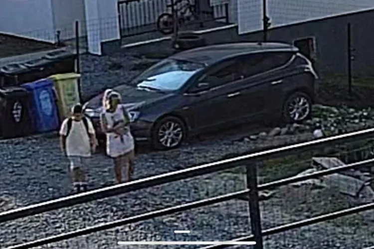 Caz neobișnuit în Cluj: Femeie, surprinsă în timp ce ia o pisică de pe stradă, căutată de proprietar/ Femeia spune voia să salveze pisica, nu să o fure