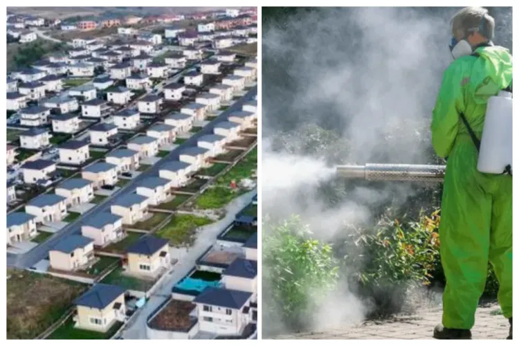 Primărița din Apahida nu se joacă: Supărată că, deși s-a făcut dezinsecție, tot e plin de tânțari, a decis o nouă acțiune: „Să intre și în curți”