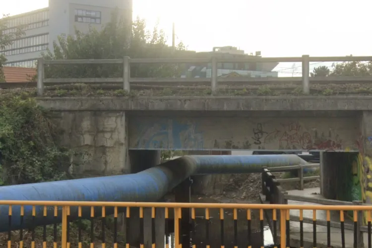 Focar de mizerie în Cluj-Napoca: Locatarii depozitează gunoaie și își fac gropi de WC de ani de zile, autoritățile sunt chemate să intervină urgent!