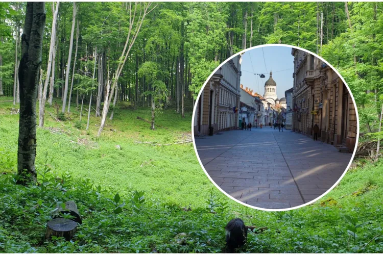 Activiștii clujeni încearcă să salveze Clujul sufocat de betoane: „Orașul are nevoie de un Inel Verde Metropolitan”