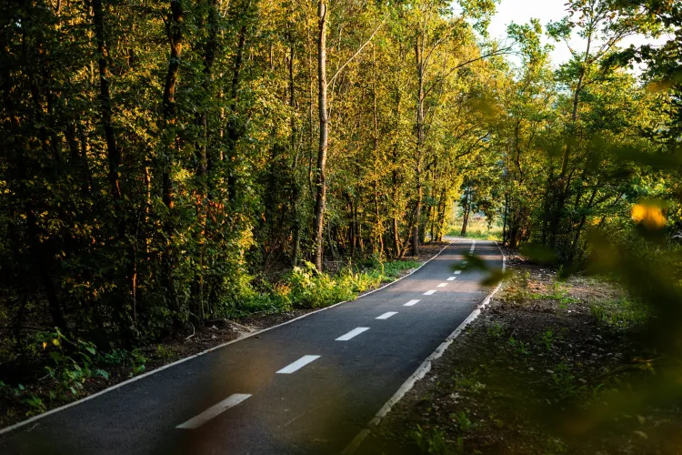 Imagini DE VIS cu noua pistă de biciclete care a fost finalizată chiar lângă Cluj-Napoca, în Baciu FOTO