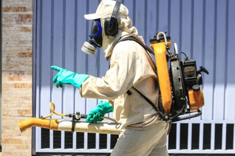 Se repetă istoria? 7.000 de cazuri de infectare cu virusul chikungunya în China. Boala e transmisă de țânțari și le dă emoții celor de la OMS