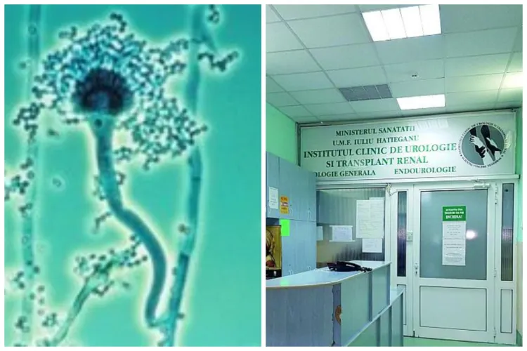 Alertă medicală maximă la Cluj! Supermicrobi mortali, descoperiți la Institutul de Urologie și Transplant Renal. Activitatea restrânsă de URGENȚĂ!