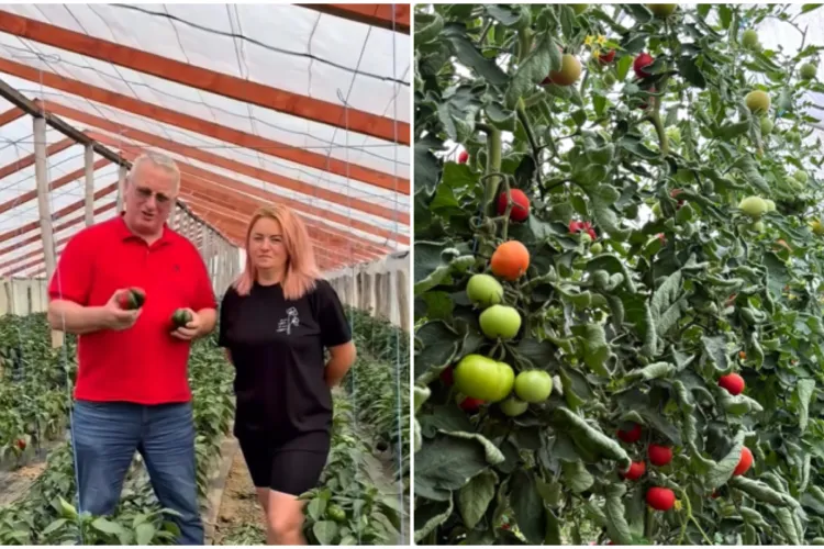 VIDEO. Deputatul Remus Lăpușan a găsit cei mai buni gogoșari din România. „Cumpărăm românește, susținem producătorii locali!”