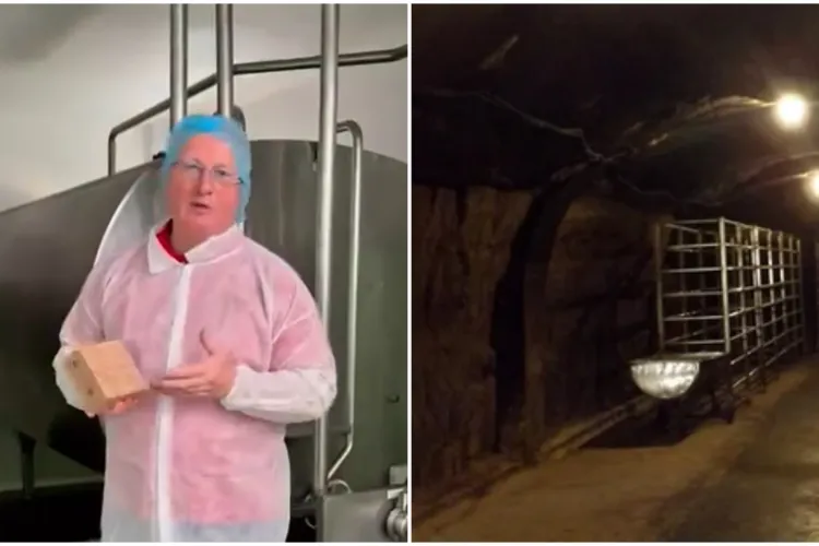 VIDEO. Deputatul Remus Lăpușan a găsit într-o grotă o „bacterie specială” de care puțini români au auzit: „Unic în lume!”