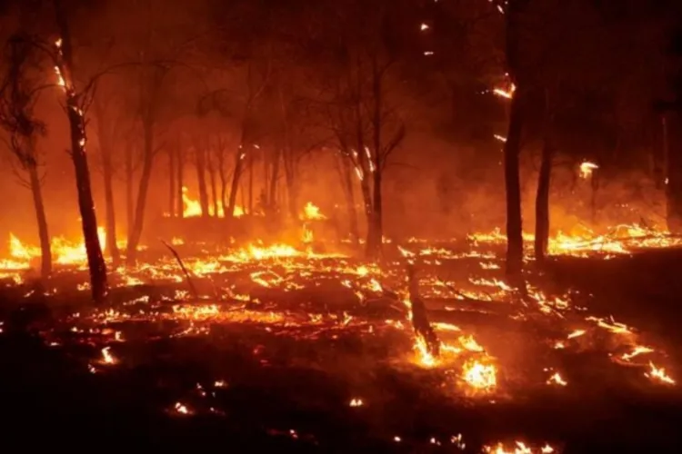 România sare în ajutorul Spaniei: 51 de pompieri români pleacă în misiune internațională pentru a stinge incendiile devastatoare din Galicia
