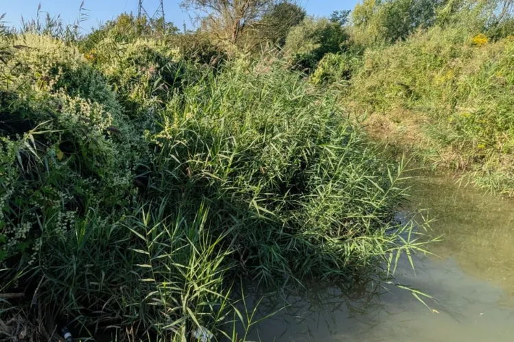 Clujenii care s-au săturat de „betoane” sunt așteptați marți, 26 august, pentru o experiență unică „Turul începe la locul de joacă din Baza Gheorgheni”