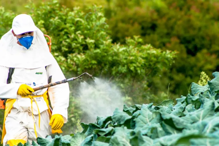 Fermierii clujeni sunt invitați la cea mai importantă dezbatere a anului. Uniunea Europeană vrea să interzică pesticidele