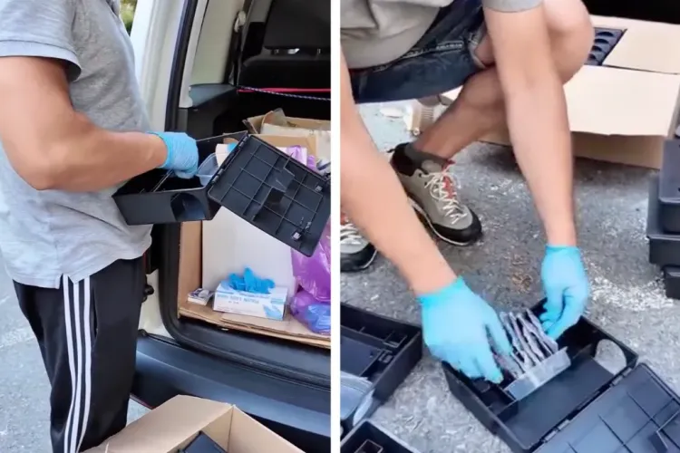 VIDEO Operațiune anti-șobolani la Cluj! Viceprimarul Tarcea verifică deratizarea și cere ajutorul locuitorilor pentru a ține orașul curat