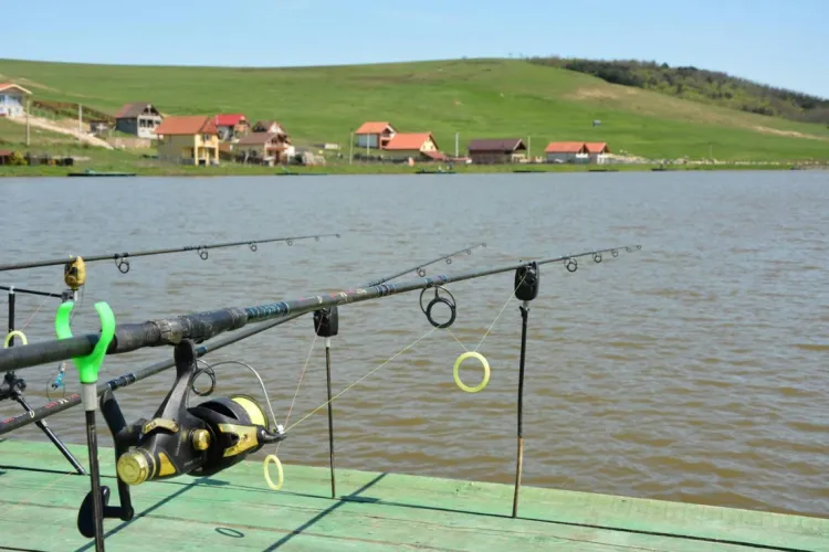 Clujenii sunt așteptați începând de astăzi la pescuit la crap pe lacurile din Apahida: Taxe și regulament pentru sezonul de crap