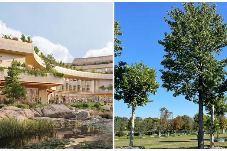 Proiectul RIVUS prinde rădăcini: Pepiniera RIVUS crește peste 600 de arbori gata să dea viață celui mai spectaculos parc urban din Cluj FOTO/VIDEO