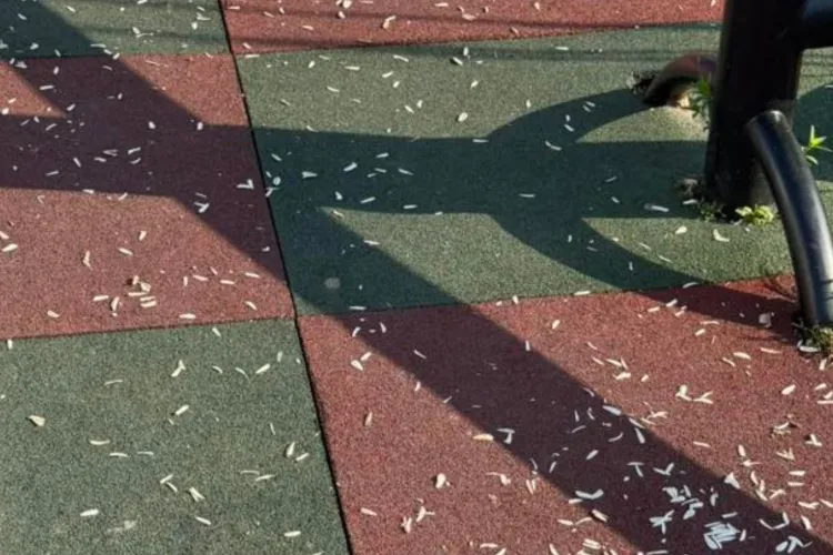 Imagini care au revoltat părinții din Cluj! Un parc de joacă pentru copii a fost găsit plin de coji de semințe: „Nu se poate așa ceva!” FOTO