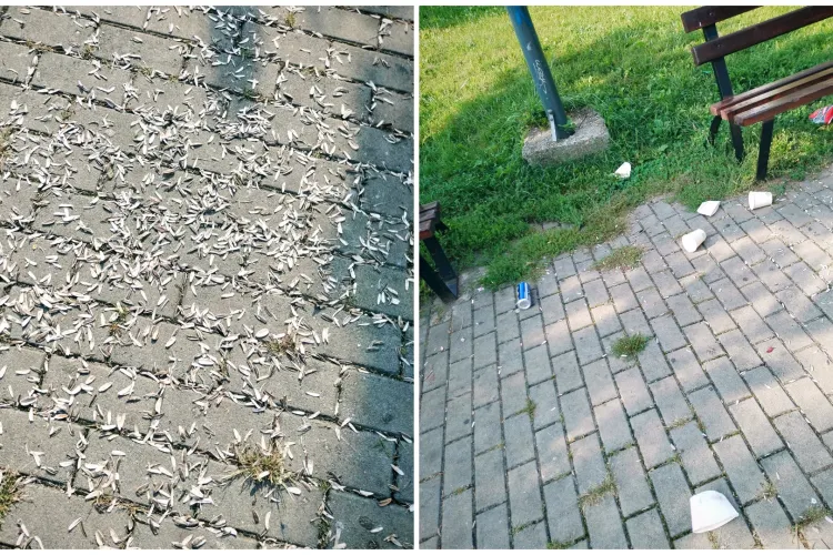Mizerie de nedescris într-un parc din Cluj! Localnicii cer mai mult respect pentru spațiile verzi: „Educați-vă copiii să nu lase zilnic mizeria asta!”