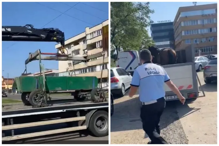 VIDEO. Scandal pe Bulevardul Muncii din Cluj-Napoca! Poliția Locală i-a confiscat unui bărbat căruța și calul, cu care circula în zonă interzisă