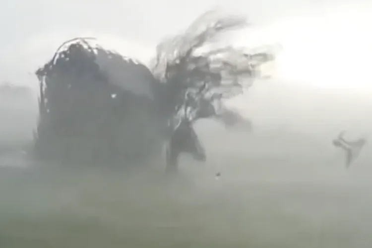 COD PORTOCALIU de furtună puternică în Cluj! Ploi torențiale, grindină și rafale de vânt de până la 70 km/h până în această seară!