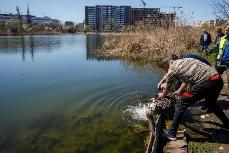O plimbare la Lacul 3 din Gheorgheni devine tot mai riscantă! Clujenii, amenințați de pescari: „Consumă alcool și devin agresivi”
