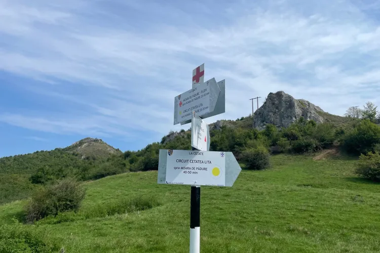 Salvamont Cluj a dat startul refacerii traseelor turistice și de escaladă! Descoperă peisaje spectaculoase și trasee sigure în Băișoara și Cheile Turzii