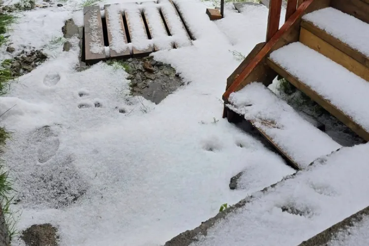 A venit iarna în Cluj? Grindina de la Vlădeasa a transformat totul într-un peisaj alb