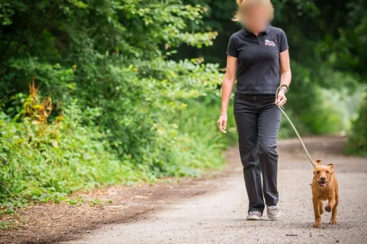 Scandal într-un parc din Cluj: O femeie și-a lăsat câinele să își facă nevoile în nisipul copiilor și a râs în fața celui care i-a atras atenția