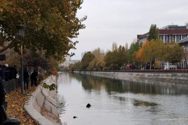 Descoperire macabră la Cluj: Cadavrul unui unui bărbat care plutea pe Someș a fost găsit chiar de un polițist din cadrul Biroului de Investigații Criminale