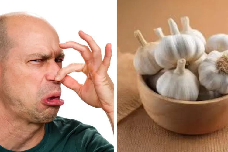 Terasele de lux din Cluj în centrul atenției: Un client cu frică de usturoi  se plânge că nu poate respira din cauza mirosului din restaurantele clujene