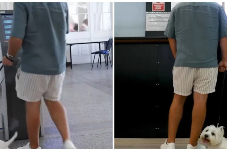 Vizita la ghișeu se va putea face cu animăluțul de companie! Clujul pregătește accesul acestora în clădirile publice, alături de stăpânii lor VIDEO