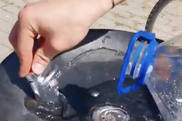 VIDEO. Primăria Cluj reacționează după alarma părinților: Misterul apei „contaminate” de la Baza Sportivă Gheorgheni: „Colegii au verificat cișmelele!”