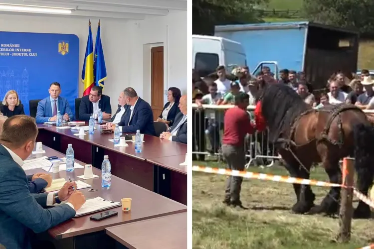 Caii nu mai trag bușteni în Cluj! Concursurile de tracțiune cabalină interzise pentru protecția animalelor, prefectul Maria Forna explică decizia