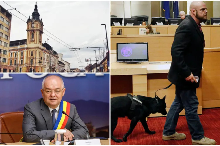 Vestea care-i va face fericiți pe toți clujenii! Undă verde pentru accesul câinilor și pisicilor în Primăria Cluj-Napoca și alte instituții 