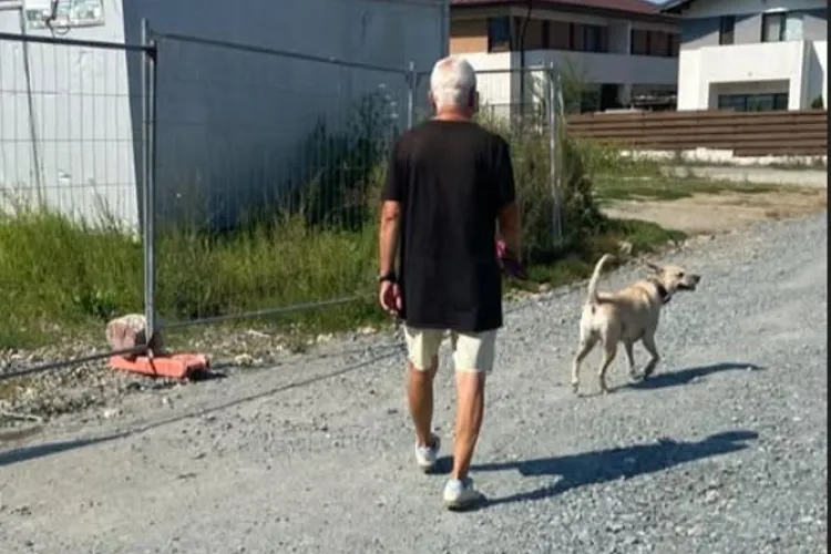 Incident în Florești: copil speriat de un câine lăsat liber pe stradă. Stăpânul a reacționat agresiv când i s-a atras atenția