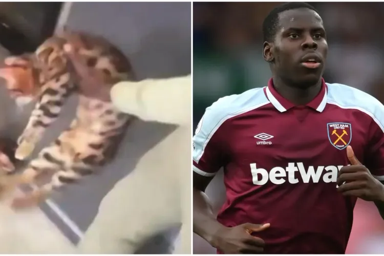 CFR Cluj transferă un jucător condamnat pentru că și-a bătut pisica. A fost scandalul anului în fotbalul din Marea Britanie