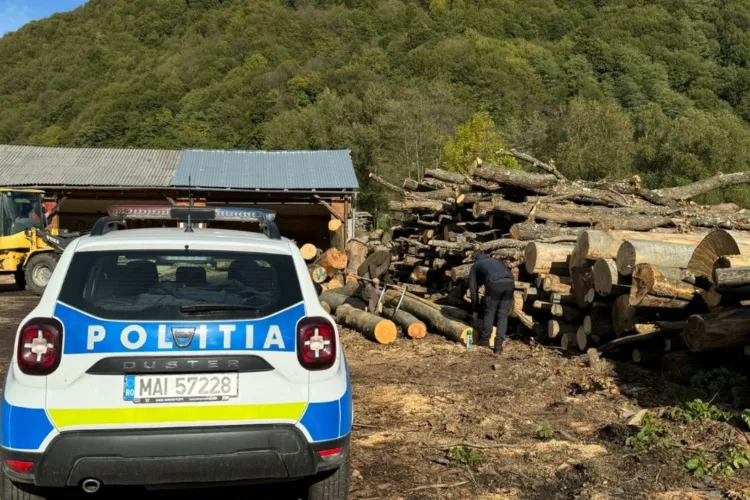 Acțiune complexă a poliției clujene: Verificări de amploare, lemn confiscat și sancțiuni pentru șoferi în primele ore ale dimineții