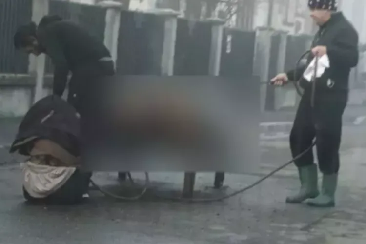 Cluj-Napoca: Petreceri, porc sacrificat pe stradă și bătaie generală. Clujenii se tem să mai iasă din casă: „Este extrem de grav”